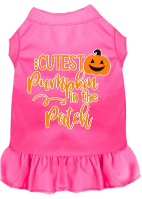 Cutest Pumpkin In The Patch Screen Print Dog Dress Bright Pink Xxl